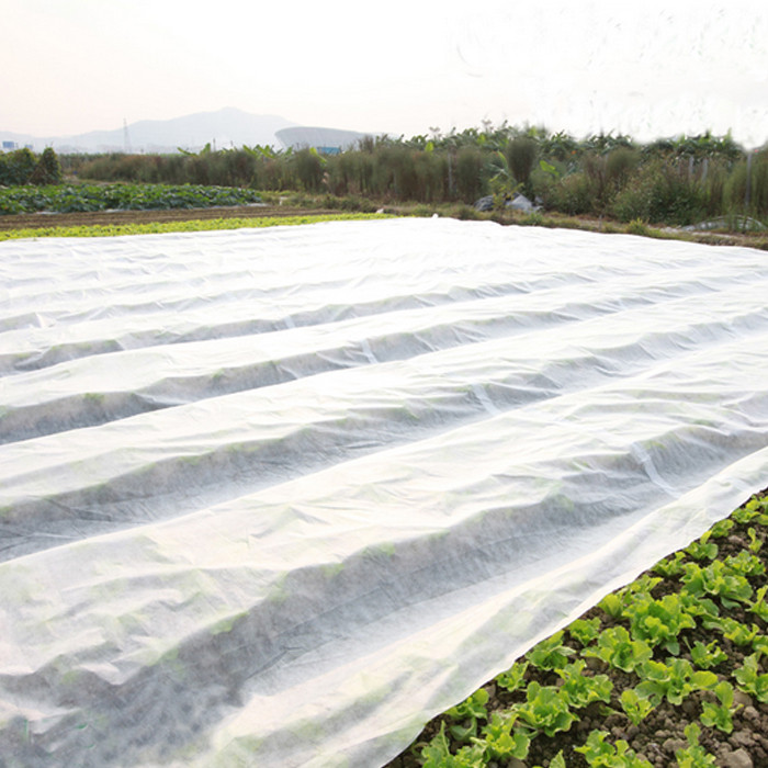 2806850847_agrovolokno-ukragro-17.jpg
